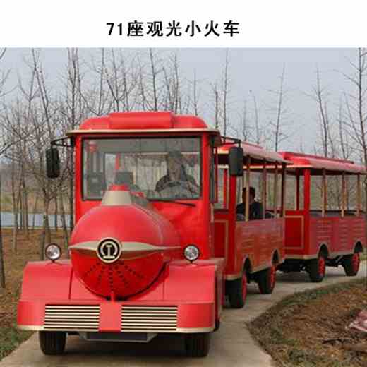 （柴油/汽油）观光小火车-无轨观光小火车