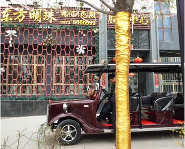 【青海】东方明珠房产采购朗逸电动老爷车