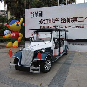 东莞臻萃园“自定义颜色”成功购买朗逸电动老爷车
